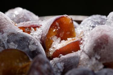 Freeze-Dried Fruit Snacks: Nutrition Without the Sugar Crash