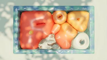 Postbiotics Explained: The Next Gut Health Breakthrough