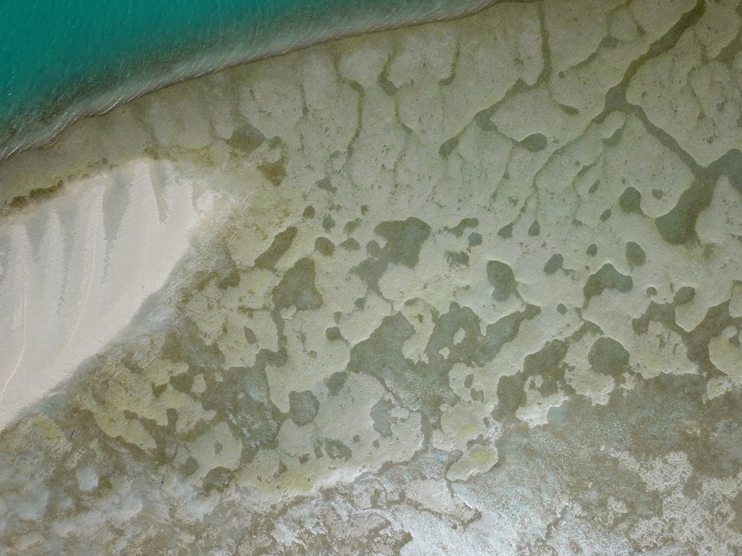 Foam Rolling Techniques for Faster Recovery