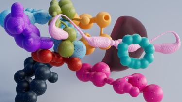 Understanding Macros: Protein, Carbs, and Fats Explained