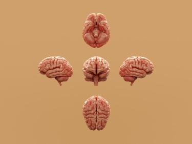 The MIND Diet Protects Your Brain While Fueling Workouts