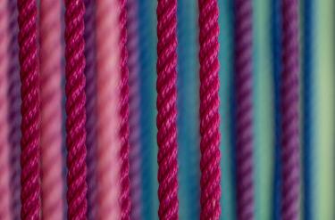 Fibermaxxing Explained: Why Fiber Overtakes Protein in 2026